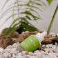 Acne-Free Serum